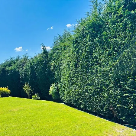 Apartment Le Farfalle In